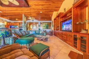 Copy of ConeCat-08(1)