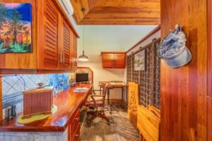 Copy of ConeCat-15(1)