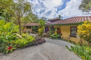 Copy of ConeCat-22(1)