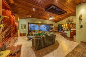 Copy of ConeCat-27(1)