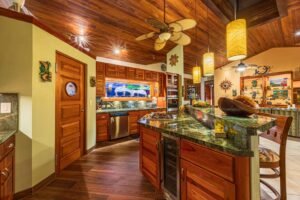 Copy of ConeCat-29(1)