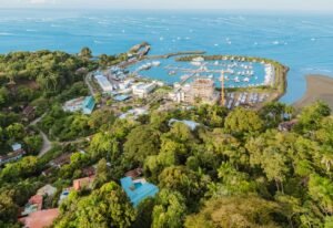 Copy of DJI_20250111070139_0067_D-HDR