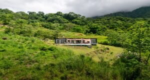 DJI_20250517100319_0006_D