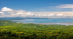 DJI_20250517100812_0011_D