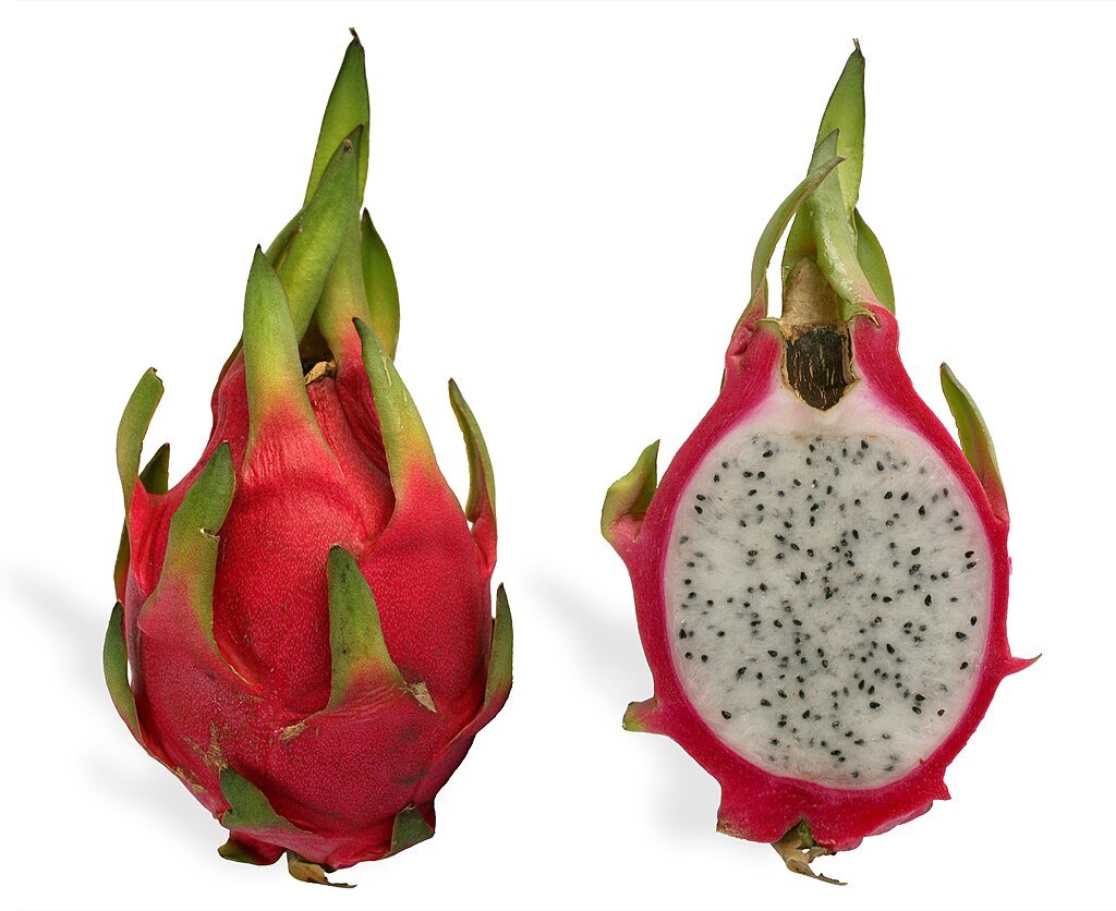 The white (or red) Pitaya has a red skin and white flesh. c/o SMasters, wikicommons.