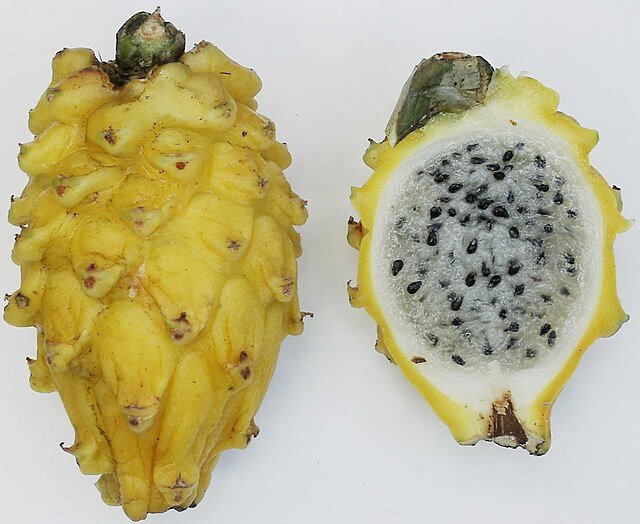 Yellow Pitaya.