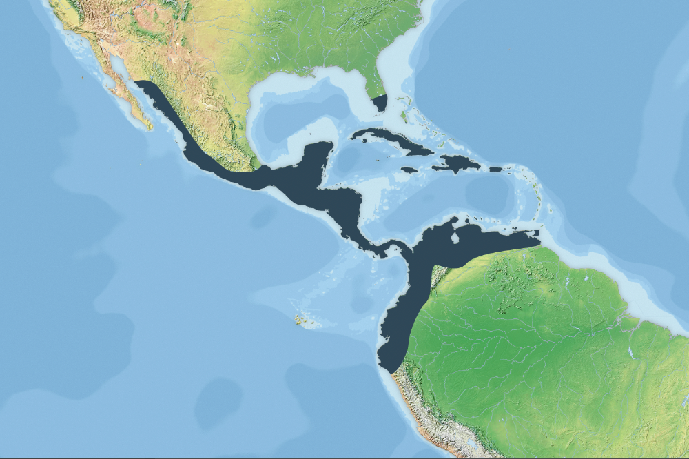 As can be seen, the American Crocodile ranges from Florida to Mexico, All of Central America, all of the Caribbean Islands, and onto Peru, and into Peru, Ecuador, Colombia and Venezuela. c/o Textbook Travel, wikicommons.