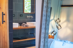 master mirror texture shot