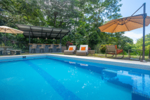 pool, rancho & jungle