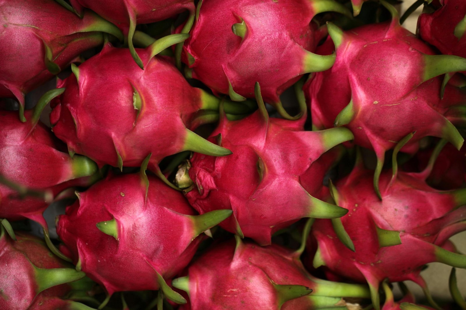 Dragon Fruit could easily pass as dragon scales! c/o Jeffry S.S.