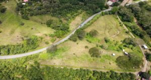 130021 Farm For Sale 02