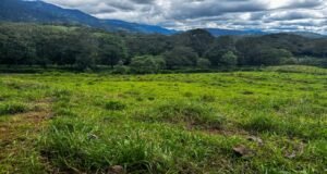 130021 Farm For Sale 04