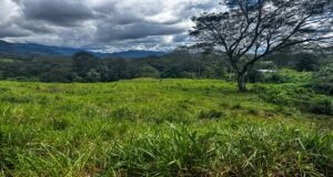 130021 Farm For Sale 05