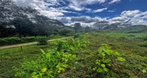 130021 Farm For Sale 17