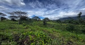 130021 Farm For Sale 23