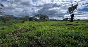 130021 Farm For Sale 26