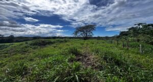 130021 Farm For Sale 27