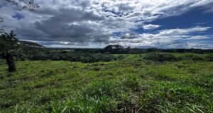 130021 Farm For Sale 28