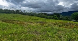 130021 Farm For Sale 30