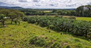 130021 Farm For Sale 31