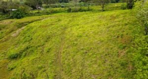 130021 Farm For Sale 33