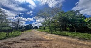 130021 Farm For Sale 36