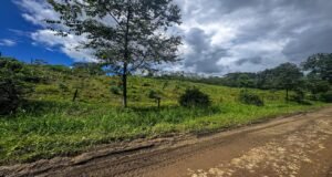 130021 Farm For Sale 37