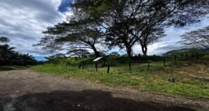 130021 Farm For Sale 38