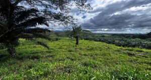 130021 Farm For Sale 43