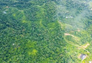 20241007_Yulian_Drone_Mini4pro_Photo_CR_SouthPacific_LosPlanes_FincaJimenez_22910