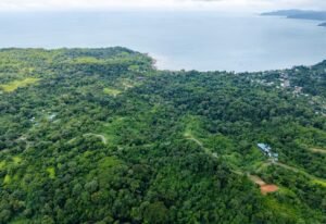 20241007_Yulian_Drone_Mini4pro_Photo_CR_SouthPacific_LosPlanes_FincaJimenez_22915