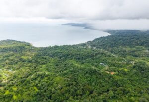 20241007_Yulian_Drone_Mini4pro_Photo_CR_SouthPacific_LosPlanes_FincaJimenez_22916