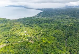 20241007_Yulian_Drone_Mini4pro_Photo_CR_SouthPacific_LosPlanes_FincaJimenez_22917