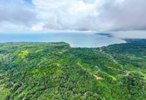 20241007_Yulian_Drone_Mini4pro_Photo_CR_SouthPacific_LosPlanes_FincaJimenez_22930