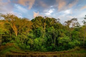 5848 House For Sale 06