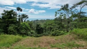 Property For Sale in Ojochal Costa Rica
