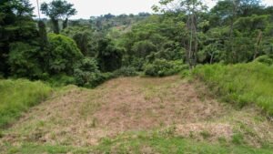 Property For Sale in Ojochal Costa Rica