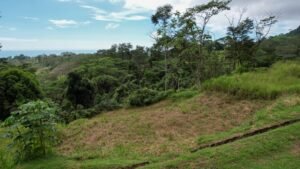 Property For Sale in Ojochal Costa Rica