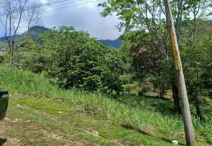 5945 Property For Sale in Ojochal 03