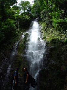 8100 Salvatore farm Balsar-2