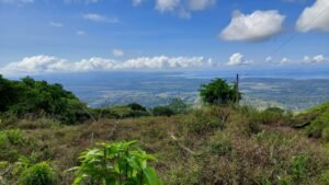 8100 Sustainable Development Farm Balsar 03