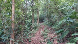 8100 Sustainable Development Farm Balsar 05