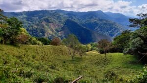 8100 Sustainable Development Farm Balsar 08