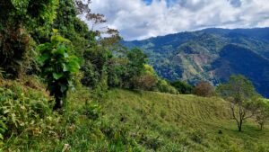 8100 Sustainable Development Farm Balsar 09