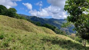 8100 Sustainable Development Farm Balsar 14