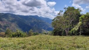 8100 Sustainable Development Farm Balsar 15