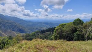 8100 Sustainable Development Farm Balsar 16