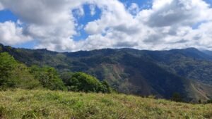 8100 Sustainable Development Farm Balsar 18