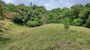 8100 Sustainable Development Farm Balsar 19