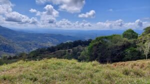 8100 Sustainable Development Farm Balsar 20